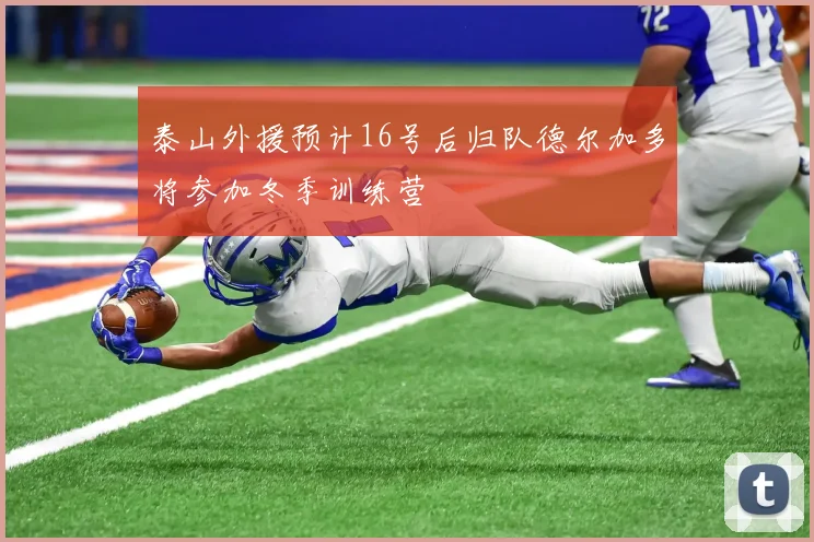 泰山外援预计16号后归队德尔加多将参加冬季训练营