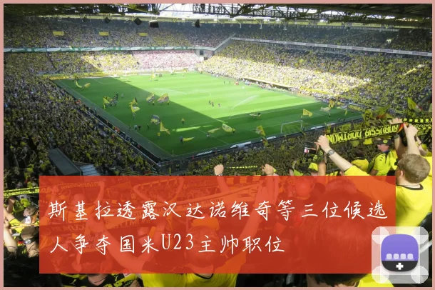 斯基拉透露汉达诺维奇等三位候选人争夺国米U23主帅职位