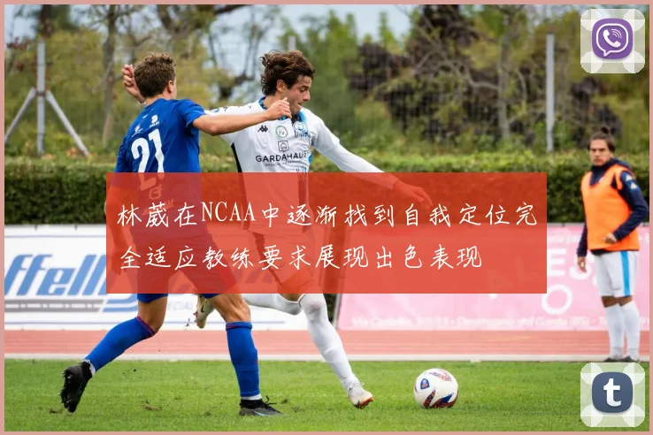 林葳在NCAA中逐渐找到自我定位完全适应教练要求展现出色表现