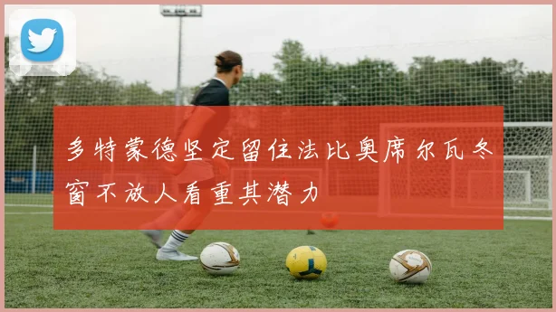 多特蒙德坚定留住法比奥席尔瓦冬窗不放人看重其潜力