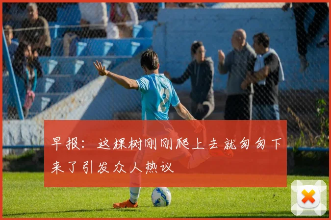 早报：这棵树刚刚爬上去就匆匆下来了引发众人热议